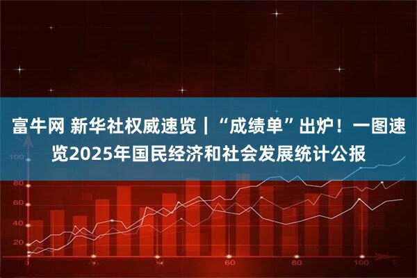 富牛网 新华社权威速览｜“成绩单”出炉！一图速览2025年国民经济和社会发展统计公报