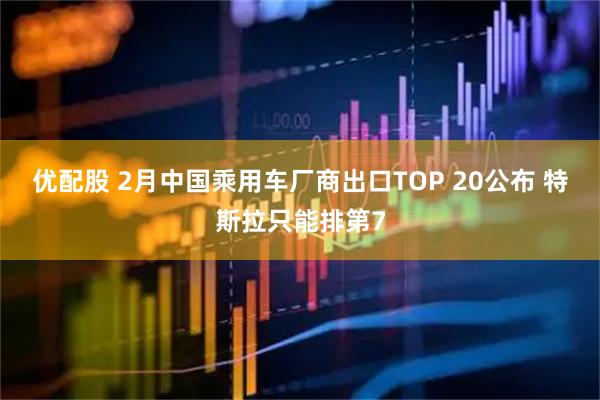 优配股 2月中国乘用车厂商出口TOP 20公布 特斯拉只能排第7