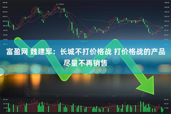 富盈网 魏建军：长城不打价格战 打价格战的产品尽量不再销售