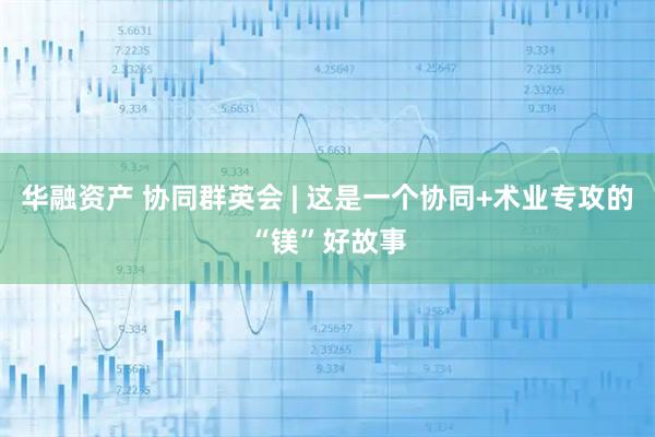 华融资产 协同群英会 | 这是一个协同+术业专攻的“镁”好故事