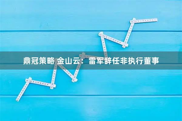鼎冠策略 金山云：雷军辞任非执行董事