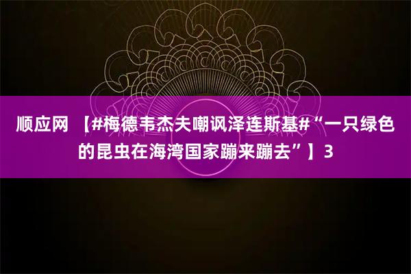 顺应网 【#梅德韦杰夫嘲讽泽连斯基#“一只绿色的昆虫在海湾国家蹦来蹦去”】3