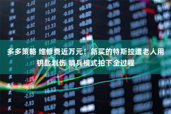 多多策略 维修费近万元！新买的特斯拉遭老人用钥匙划伤 哨兵模式拍下全过程