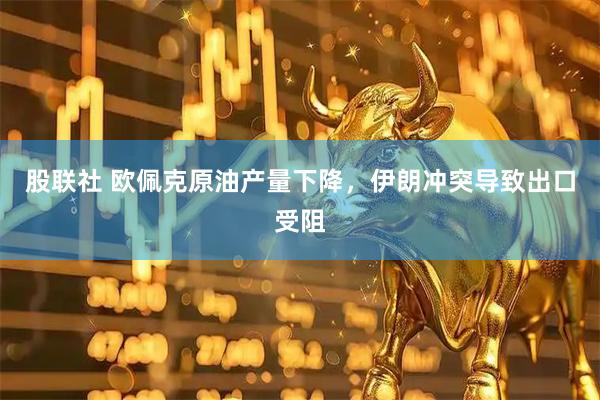 股联社 欧佩克原油产量下降，伊朗冲突导致出口受阻
