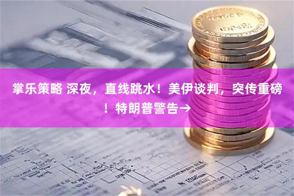 掌乐策略 深夜，直线跳水！美伊谈判，突传重磅！特朗普警告→