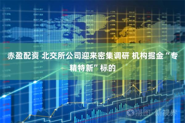 赤盈配资 北交所公司迎来密集调研 机构掘金“专精特新”标的